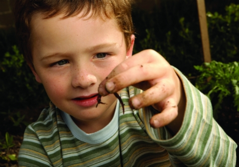 Worm Farming Workshop November 2024