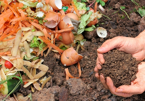 Rethinking Organic Waste - Compost Workshop